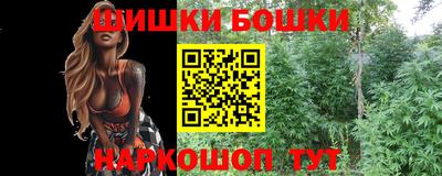 гашик Можайск