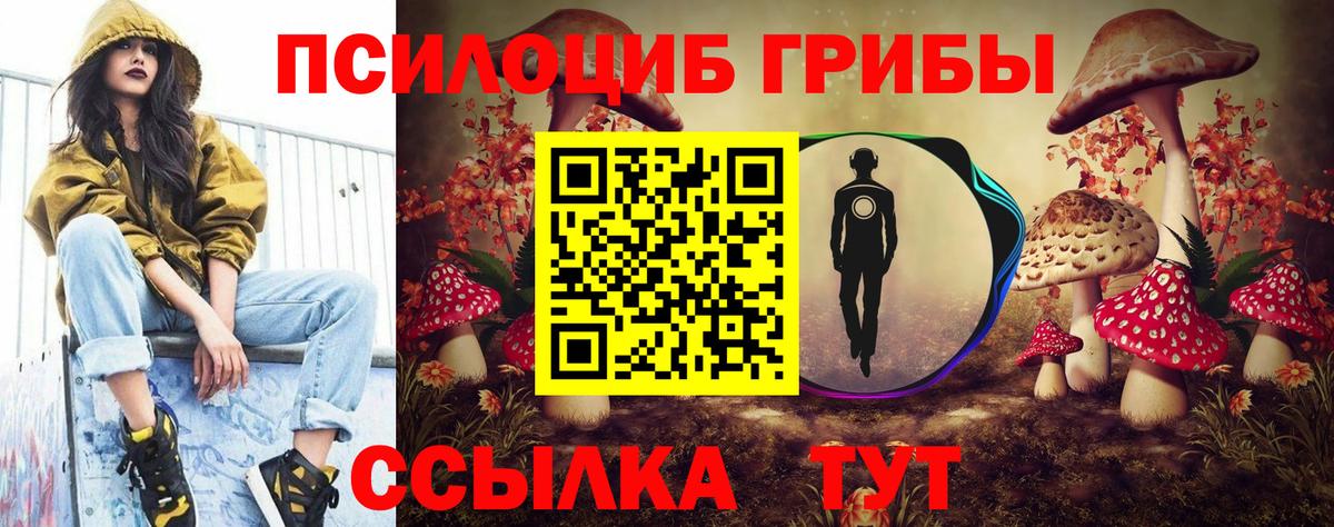Галлюциногенные грибы прущие грибы Волгоград