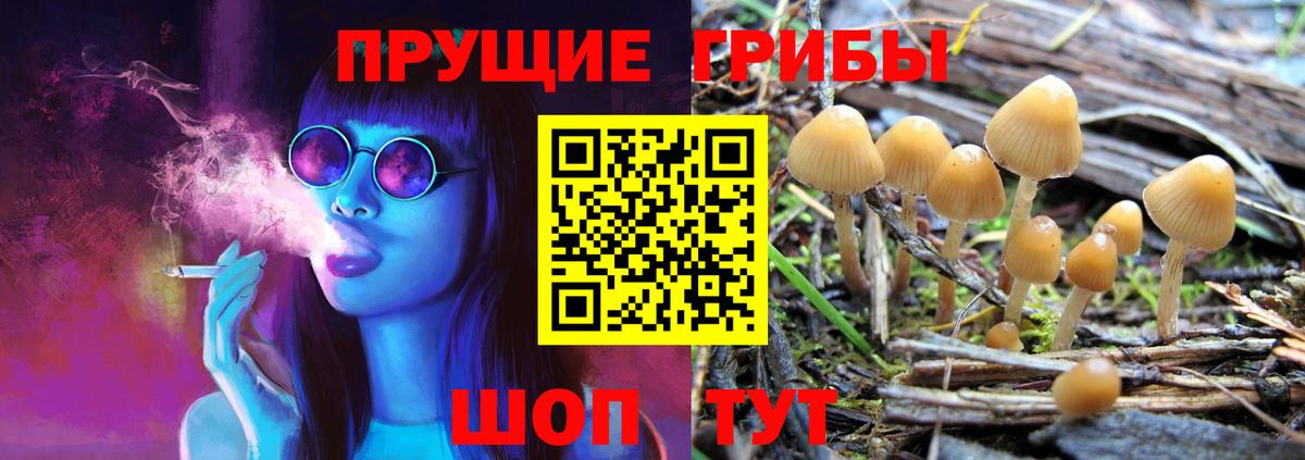 Галлюциногенные грибы прущие грибы  Вход с VPN  Волгоград 